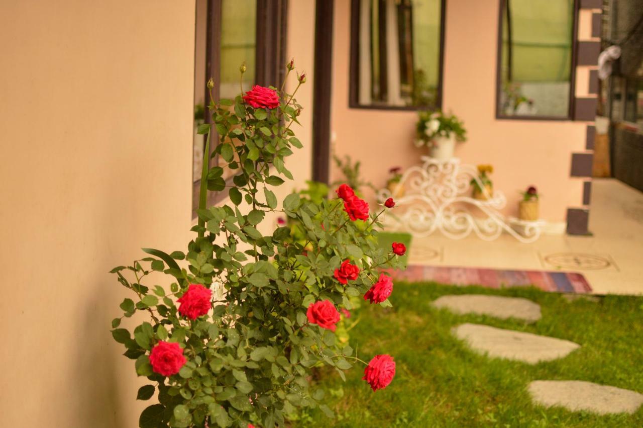 Hill House Manali -A Home In Mountains Екстериор снимка